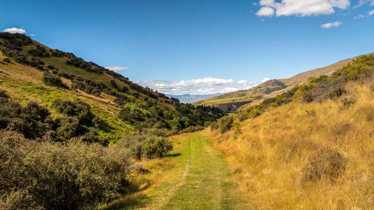 Spotsburn, Lot 2, 928 Cardrona Valley Road Cardrona_8