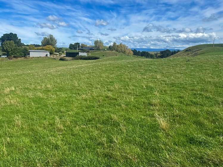 Lot Lots 1&2 Taihape Road Sherenden_8