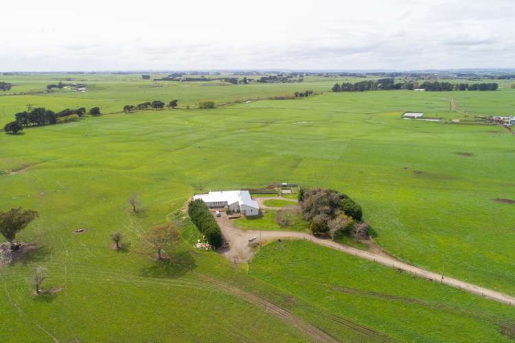 287 State Highway 1 Bulls_12