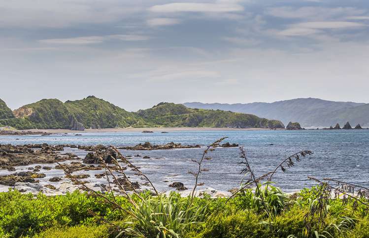 167 Breaker Bay Road Breaker Bay_2