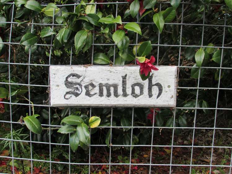 218 Racecourse Road Allenton_14