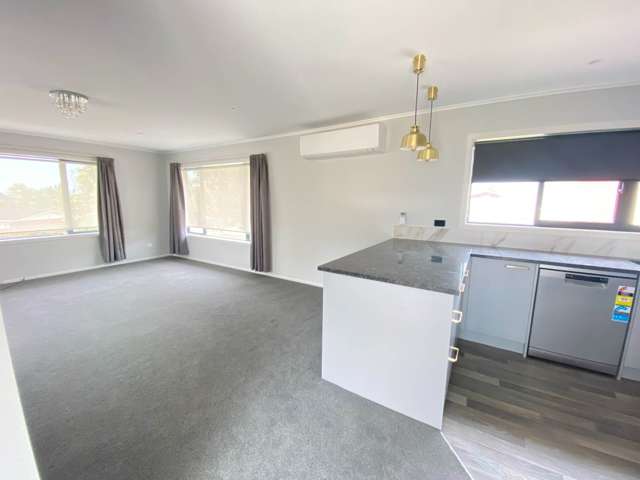 91 Reeves Road Pakuranga_4