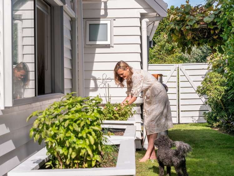 14b Terrace Avenue Mount Maunganui_17