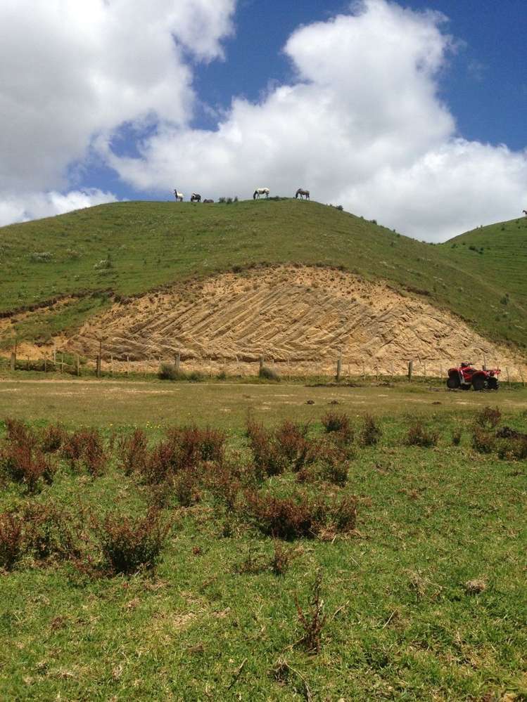 1445 Marokopa Road Marokopa_11