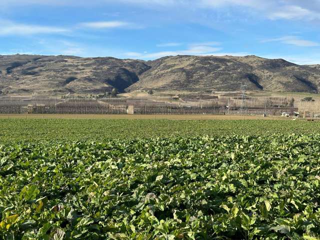 Kinaston Road, Roxburgh East Roxburgh_3