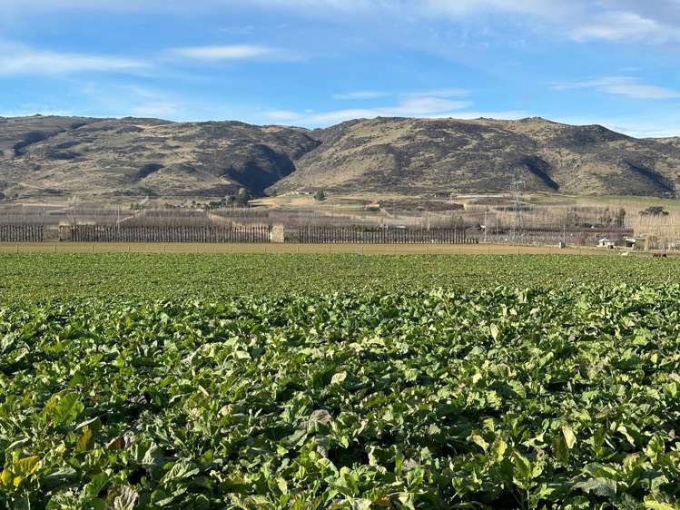 Kinaston Road, Roxburgh East Roxburgh_3