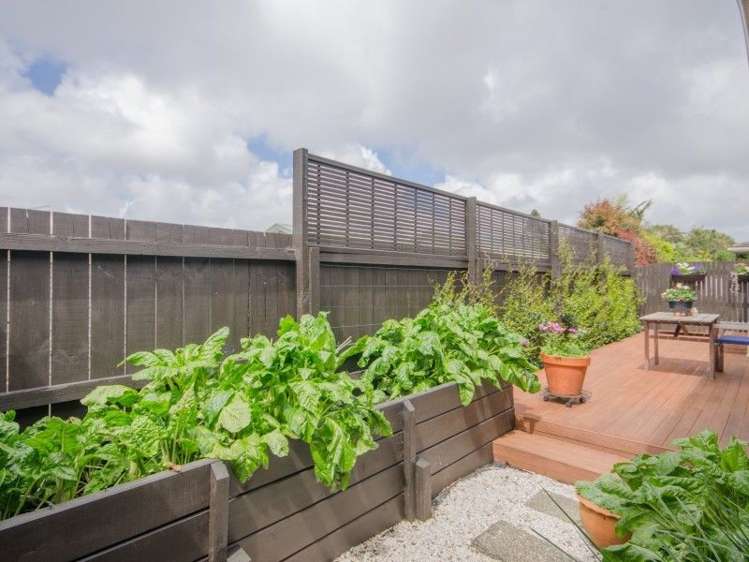 3/16 Tawhiri Road One Tree Hill_14