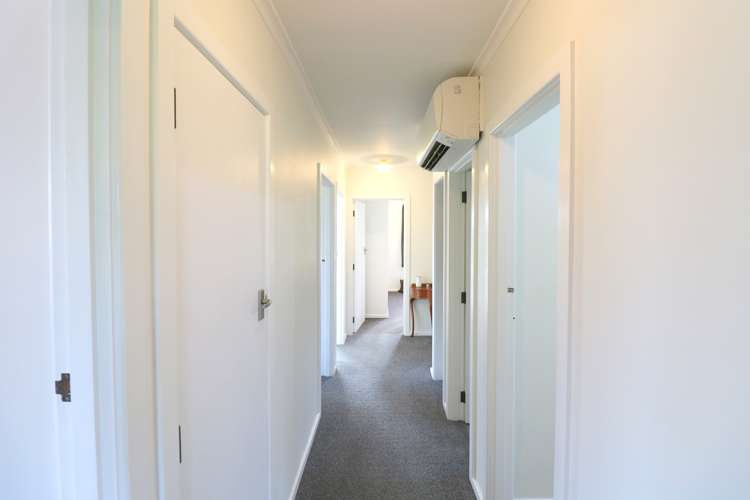 54 Tuai Street Ascot_13