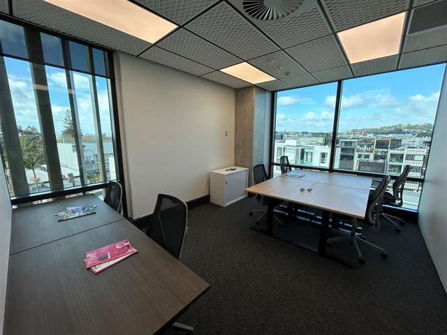 4 Williamson Avenue Ponsonby_2