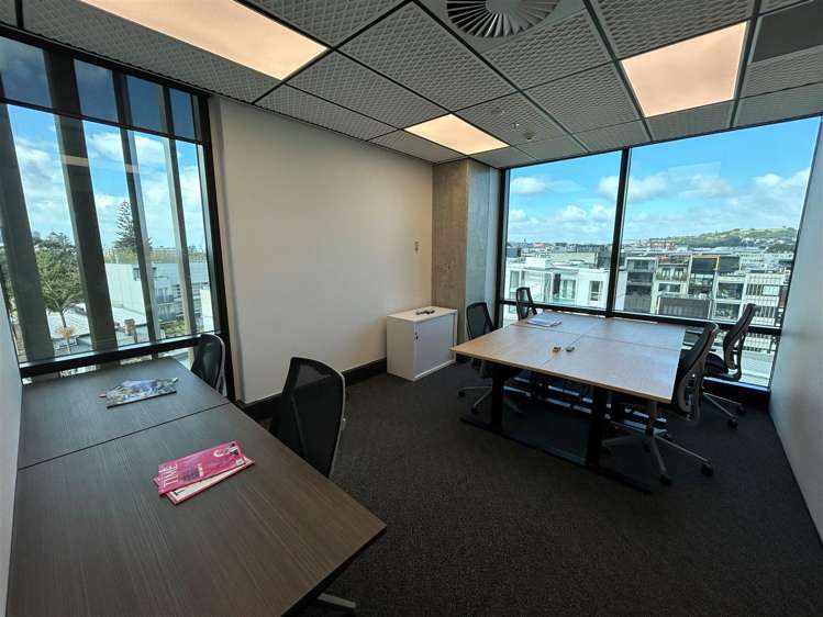 4 Williamson Avenue Ponsonby_2