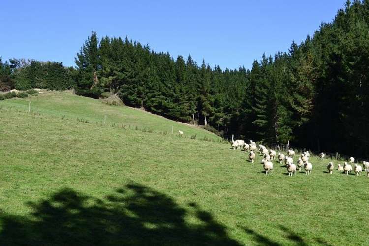 452 Falla Burn Road Balclutha_12