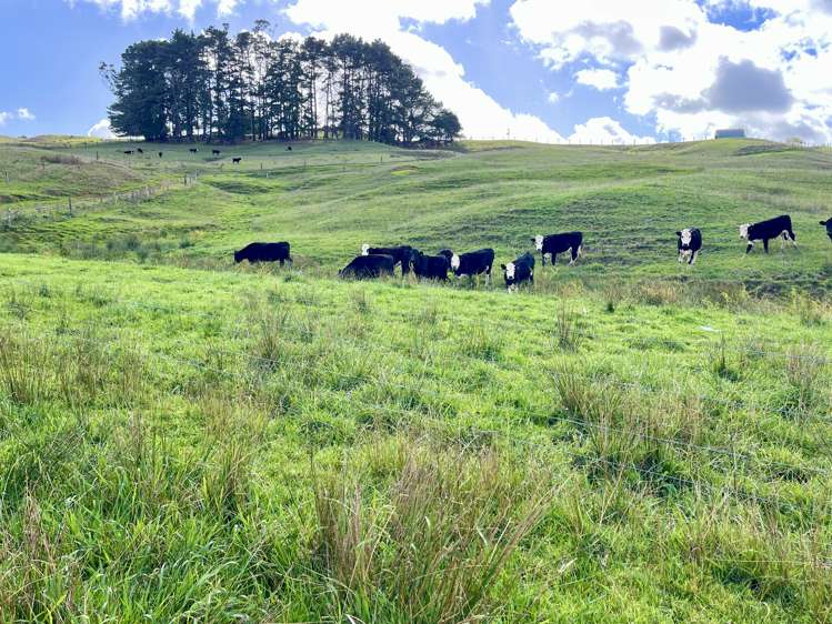 426 Mangarata Block Road Arapohue_8