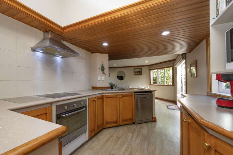 5 Budock Road Hillsborough_6