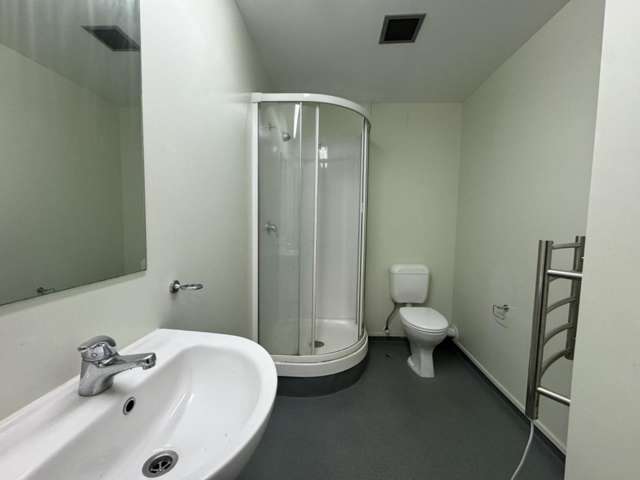 A/247 Kaharoa Road Te Aro_3