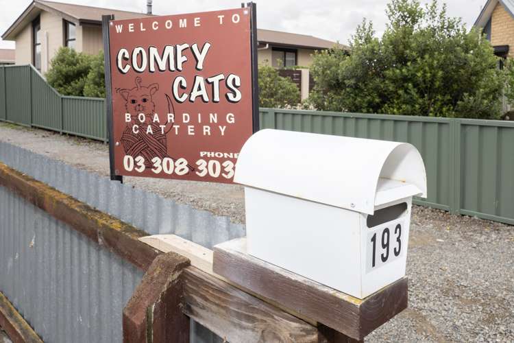 193 Grove Place Tinwald_0