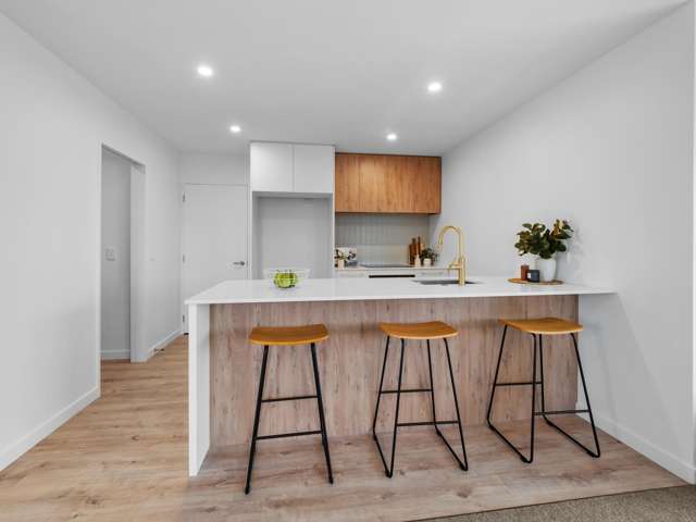 110 Trevors Road Ashburton_1