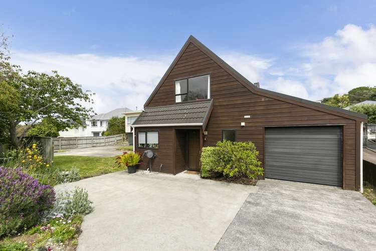 19a Bassett Road Johnsonville_15