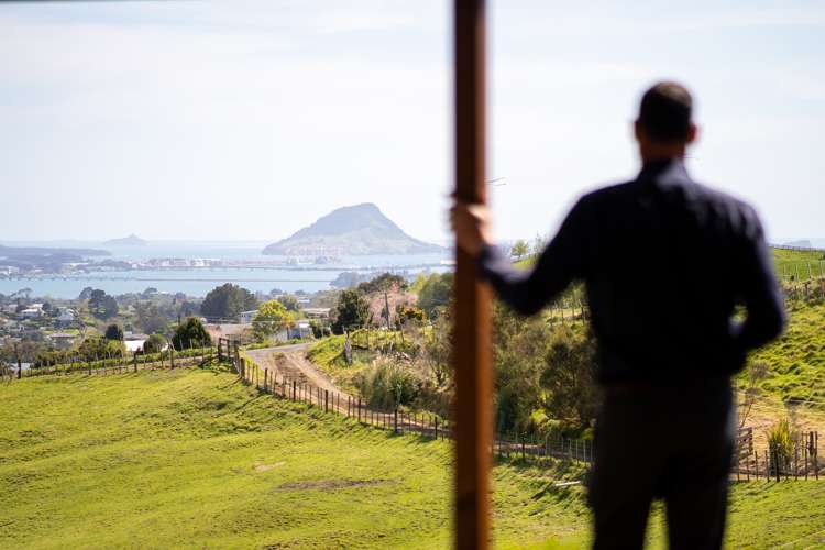 416 Kaitemako Road Welcome Bay_9