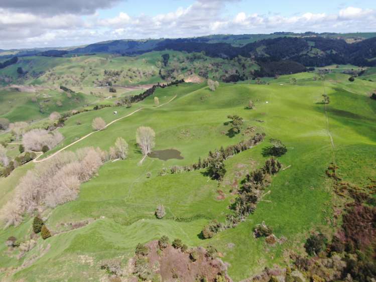 126 Tauraroa Valley Road Otorohanga_18