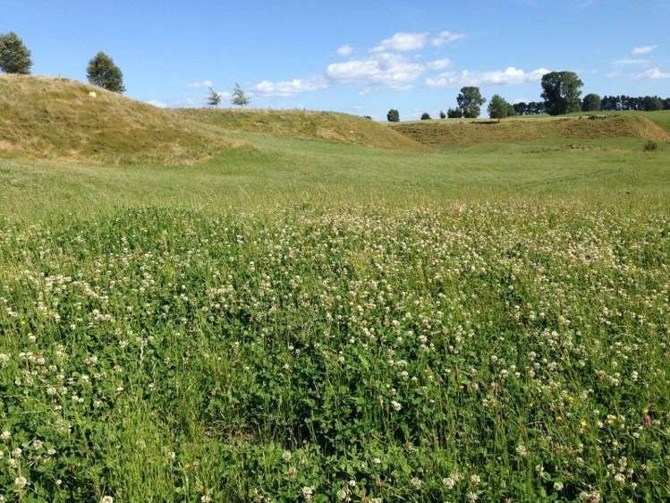 53 Worth Road Putaruru_4