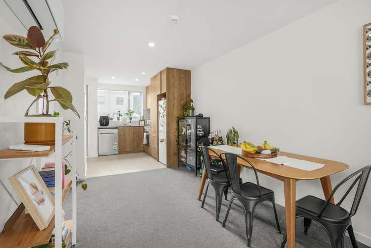 14 Te Ara O Te Amo Hohipene Petone_1