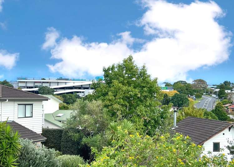 58 Marlborough Avenue Glenfield_4