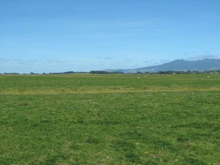 2/795 Tuhikaramea Road Ngahinapouri_12