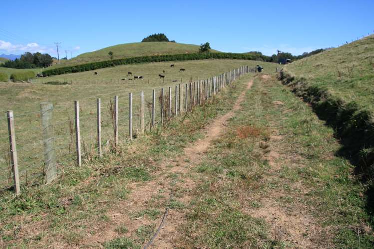 196 Tarata Road Inglewood_15