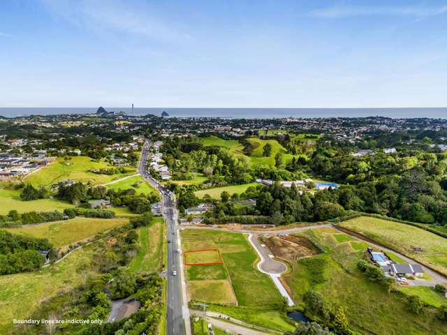 367 Tukapa Street Hurdon_3