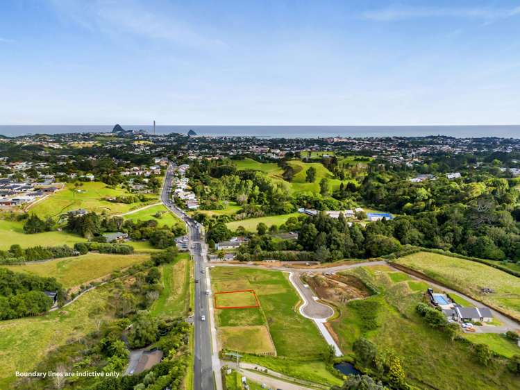 367 Tukapa Street Hurdon_3