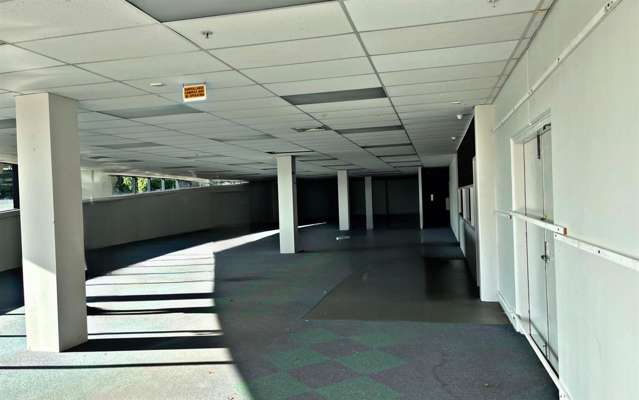 19 Don McKinnon Drive Albany_2