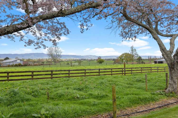 128 Matai Road Matamata_17