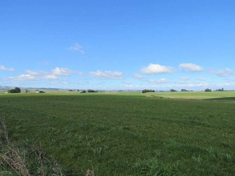 69 Adam Fleming Road Gore Surrounds_5