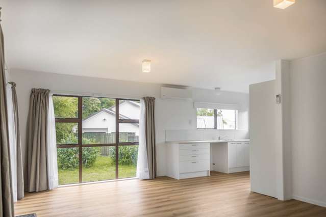 1/3 Nicolas Avenue Glen Eden_3