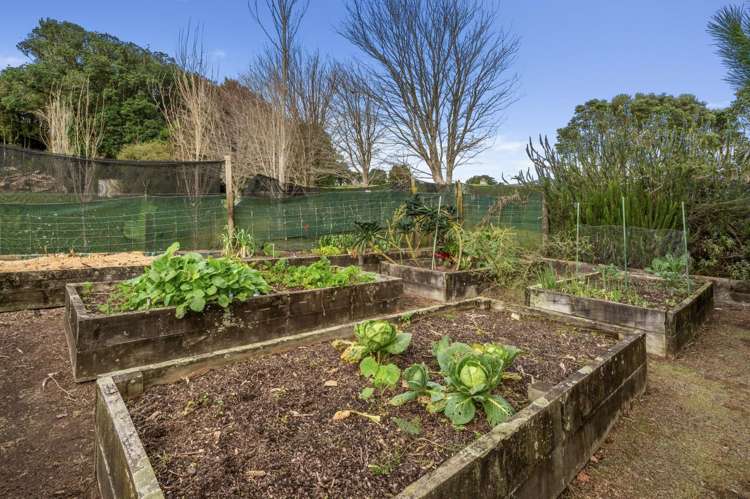 695A Esdaile Road Whakamarama_27