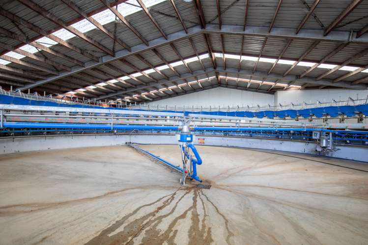 263 Puketoi Runs Road Puketoi_13