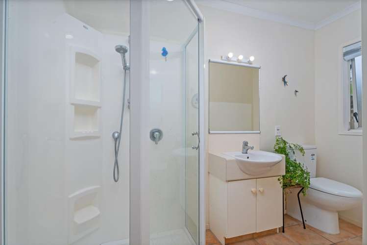 4E Albert Street Whitianga_11