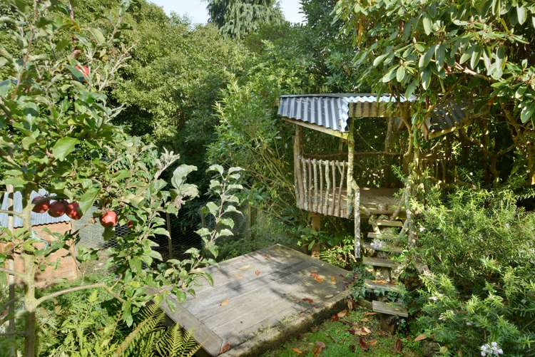 12 Gorman Street Macandrew Bay_17