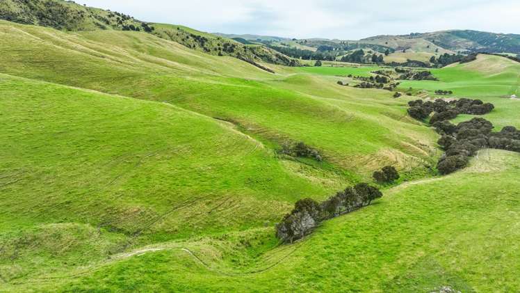 48 Heathfield Road Greta Valley_10