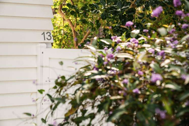13 Burrows Street Avenues_16