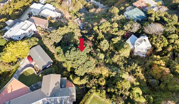 122b Nicholson Road Khandallah_2