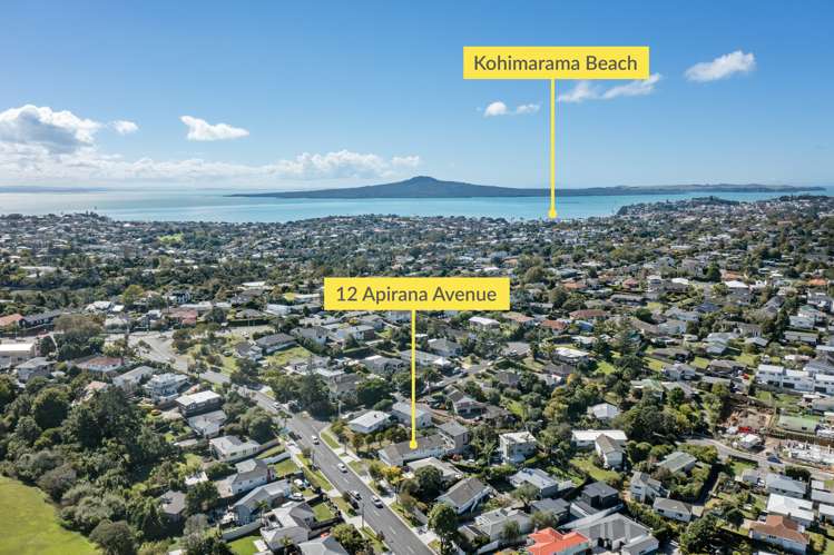 12 Apirana Avenue Glen Innes_20