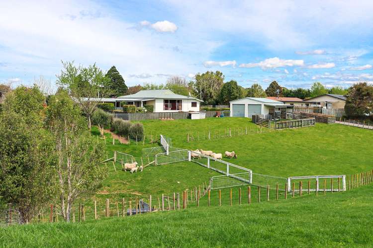 54a Ruahine Street Dannevirke_18