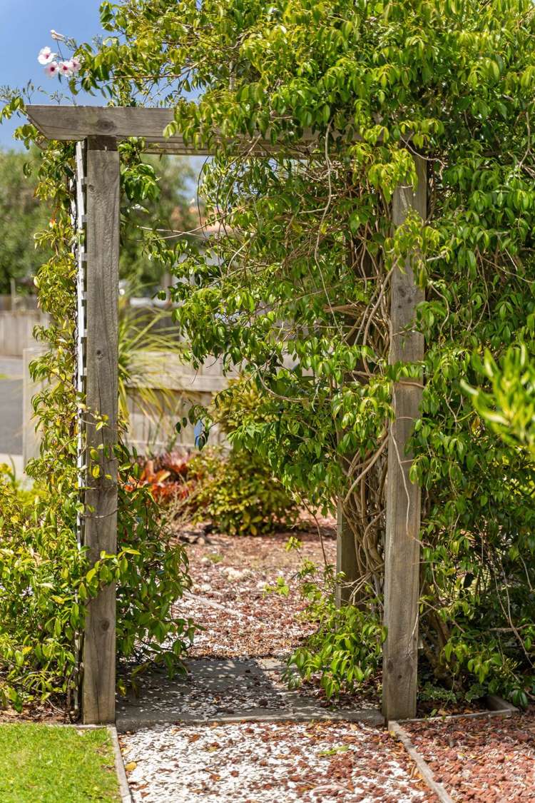 6D Sailrock Drive Mangawhai Heads_2