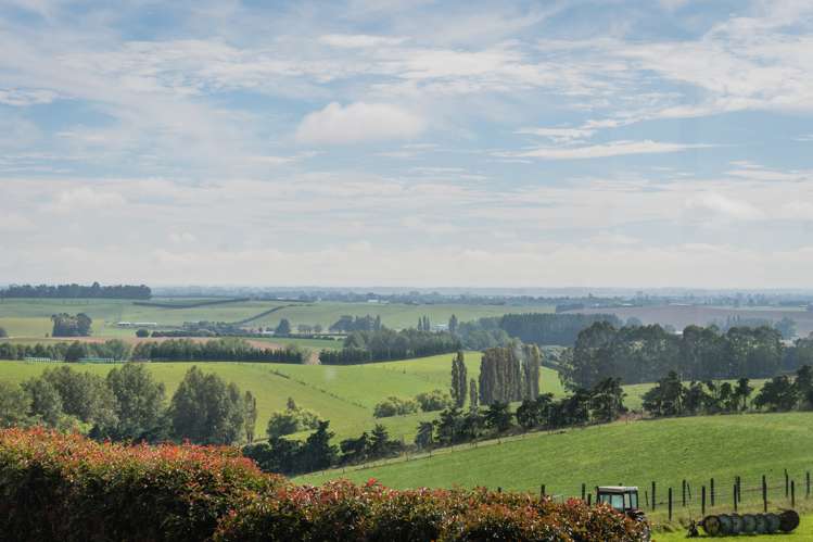 310 Spur Road Rosewill_21