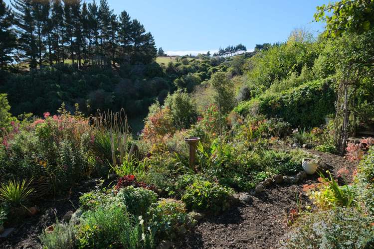 31 Gorman Street Macandrew Bay_16