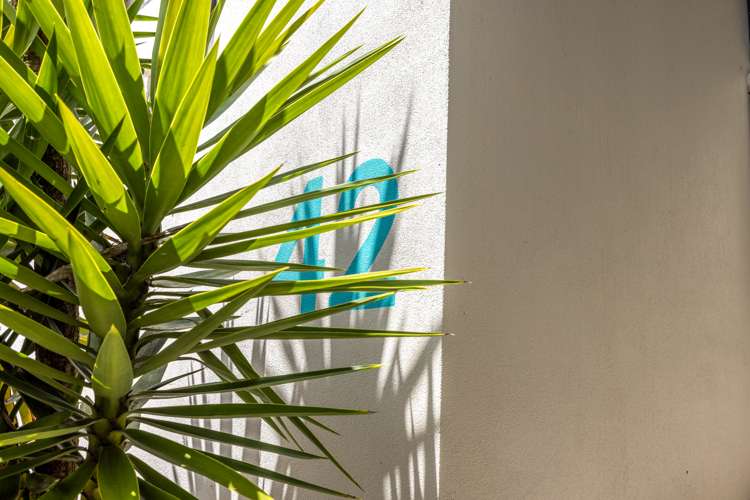 42 Hill Road Palm Beach_16