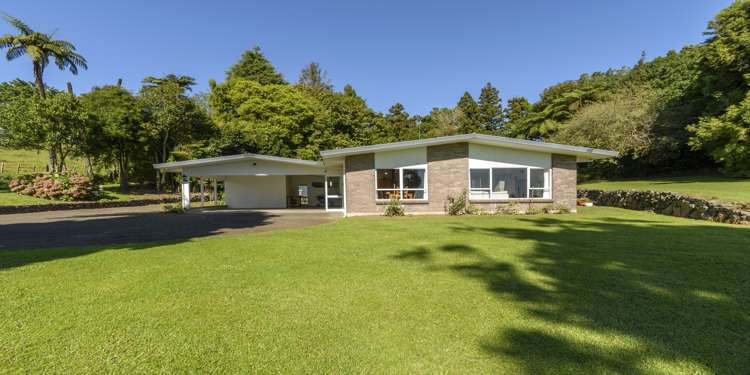 87 Ross Road Whakamarama_7