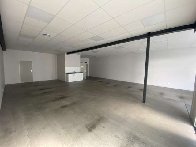 25 Te Aroha Street Hamilton East_4