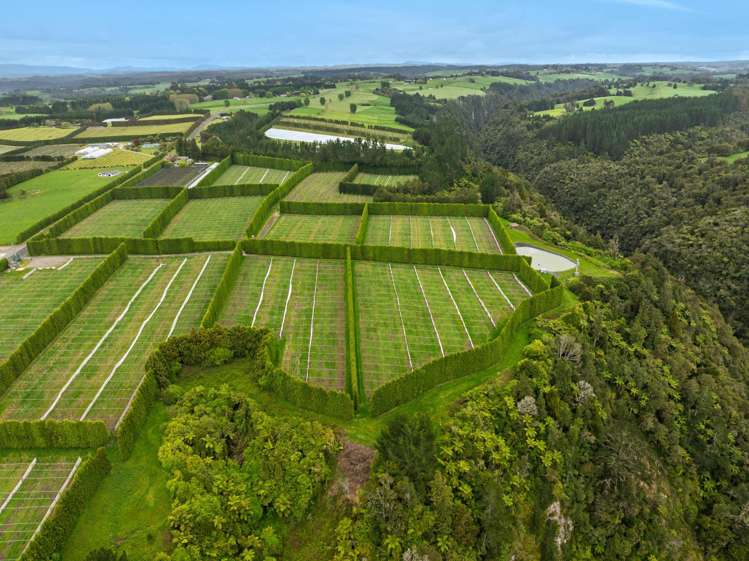 Lot 4/1010 Te Matai Road Te Ranga_9